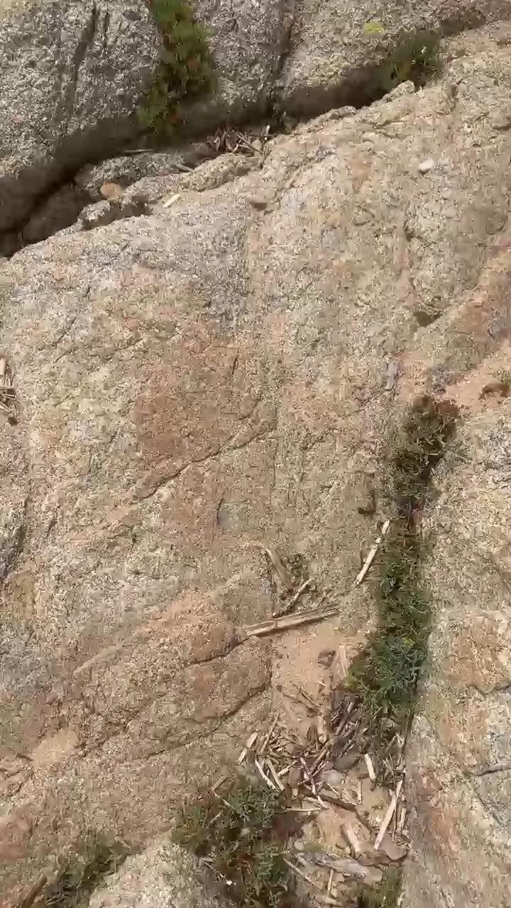 Cam4 Joueurh Joueurh from Cam4