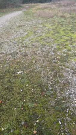 Naked porcobg18 from Cam4 porcobg18 from Cam4