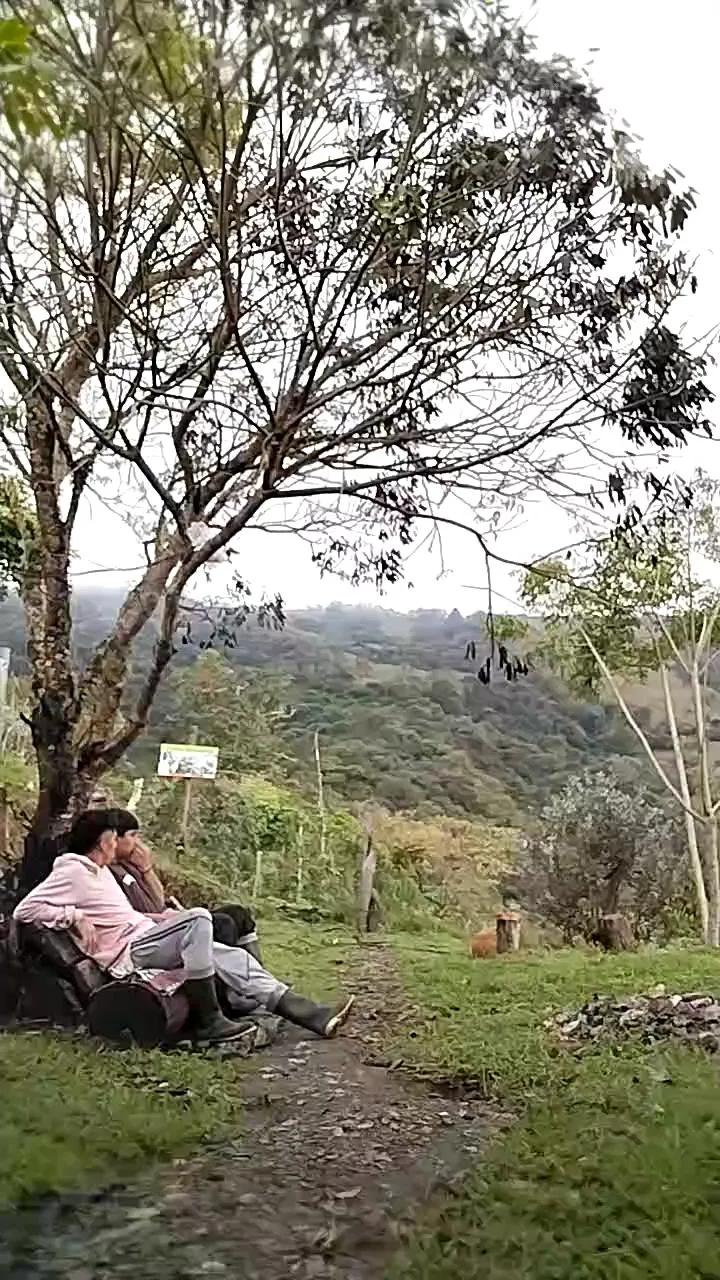 Try 25 years old Remote_live from Cam4 Remote_live from Cam4