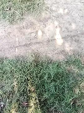 Discover 23 years old Mehta_seema from StripChat Mehta_seema from StripChat